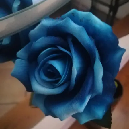 Ca' Da Flora B&B 브루그나토