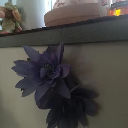 Ca' Da Flora *